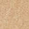 Birch - Flat cut