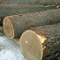 Cherry Veneer Logs