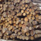 Red Pine Logs