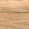 White oak 