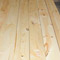 Eastern White Pine Standard