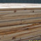 Slash Pine Industrial Grade