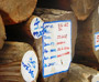 Teak Logs